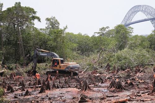 MEF: fondos destinados para cuarto puente se utilizarán en otros proyectos