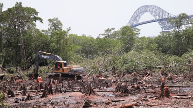 MEF: fondos destinados para cuarto puente se utilizarán en otros proyectos