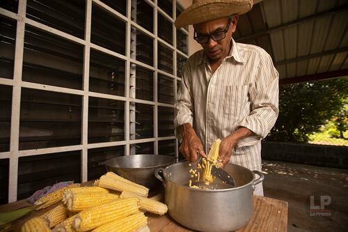 Alex prueba: El benévolo maíz nuevo